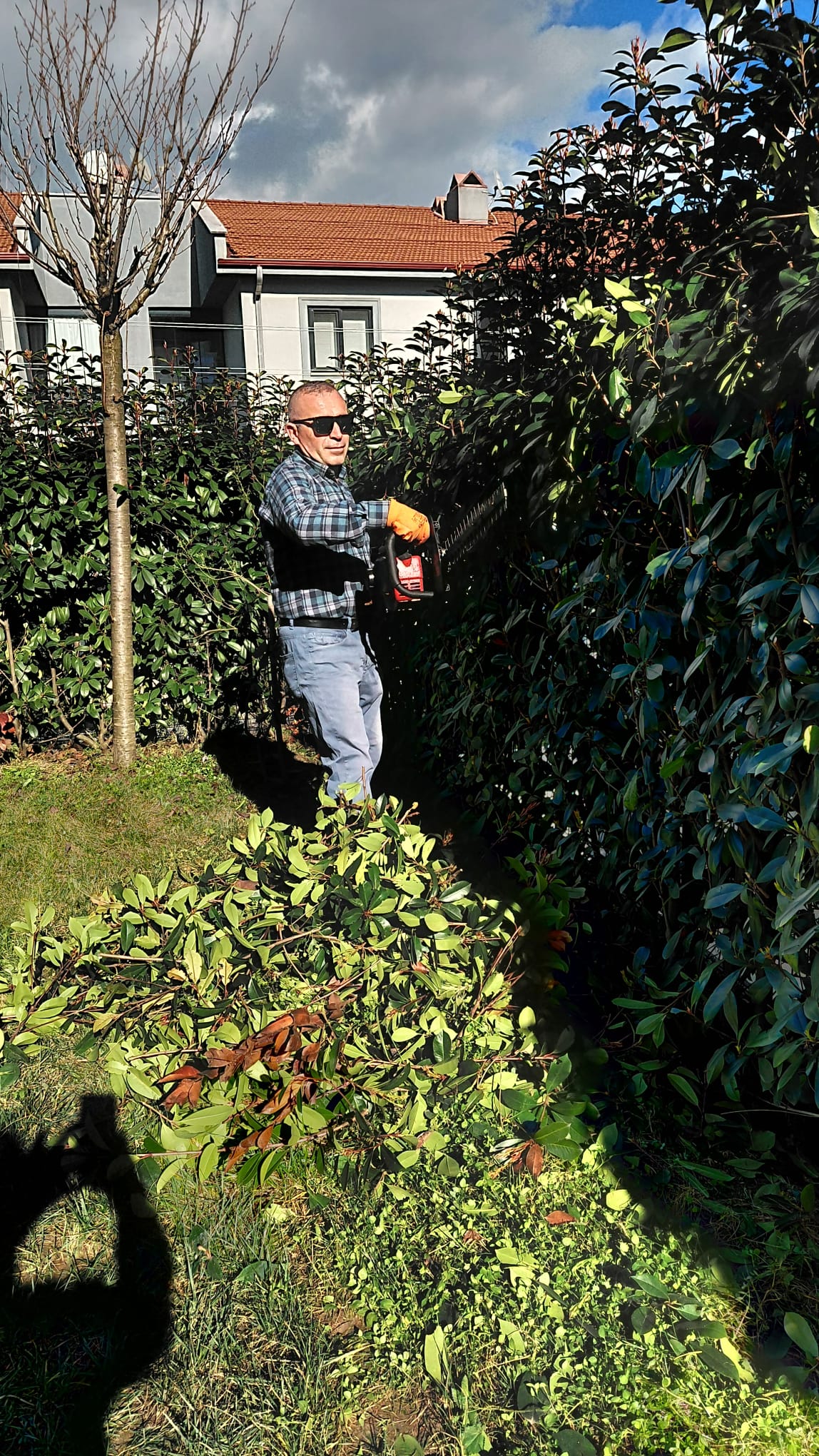 Sakarya Peyzaj Doğayla Uyumlu Yaşam Alanları Tasarlamak