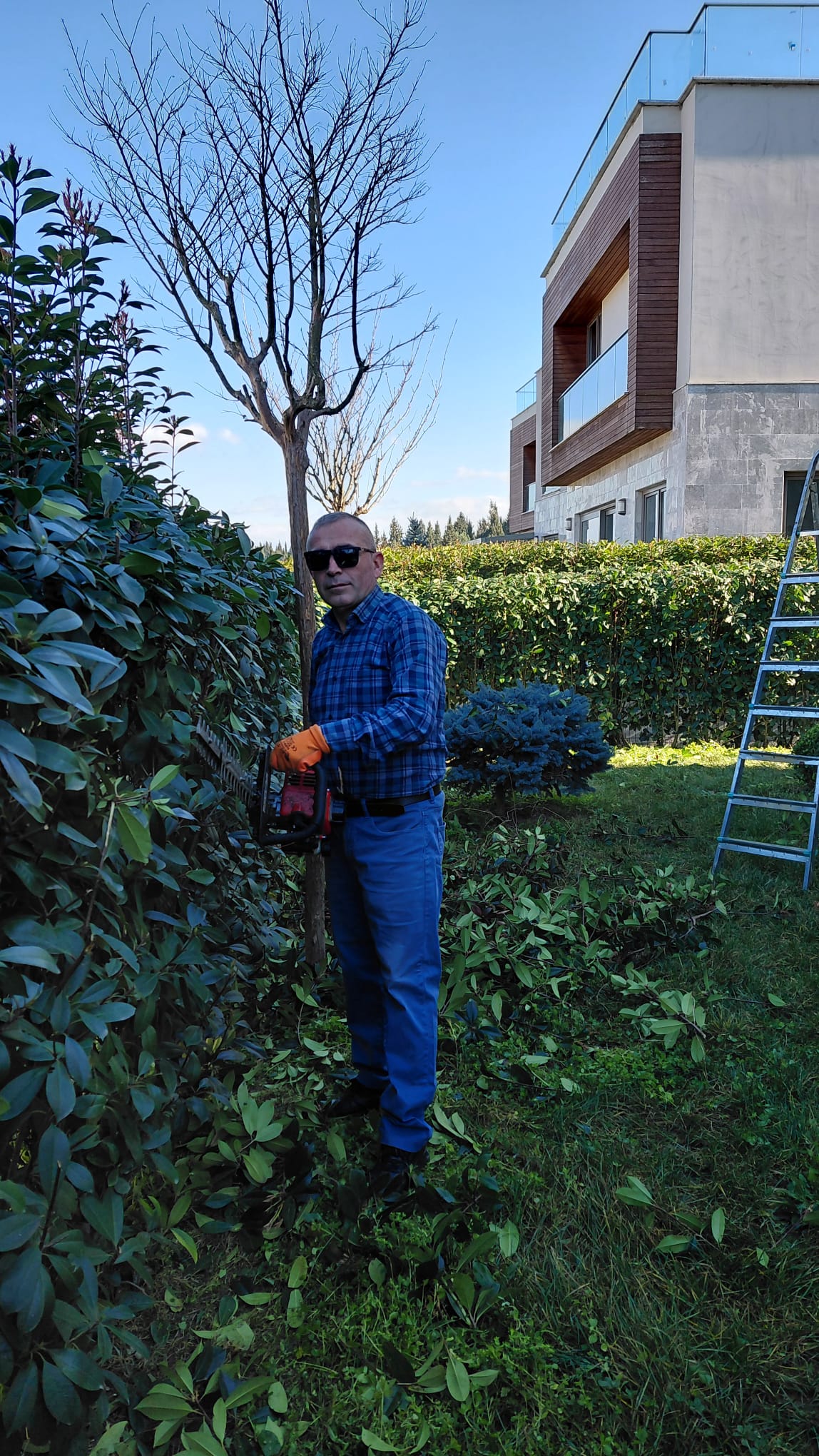 Sakarya Peyzaj Telefonları Profesyonel Hizmetlere Hızlı Ulaşmanın En Kolay Yolu