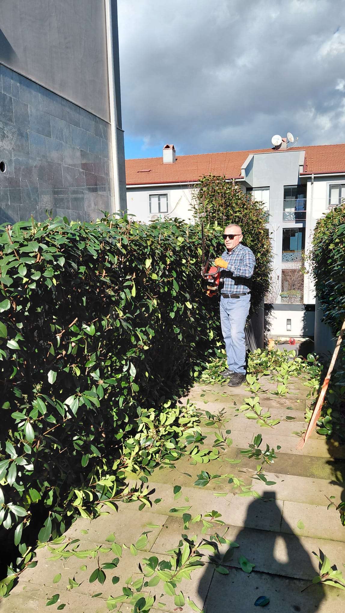 Sakarya Peyzaj Adresleri Profesyonel Bahçe ve Çevre Düzenleme Hizmetlerine Nasıl Ulaşılır?